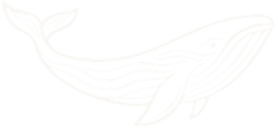 Cabo Travel Boutique whale mark
